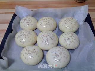 汉堡包(汤种)的做法步骤:9