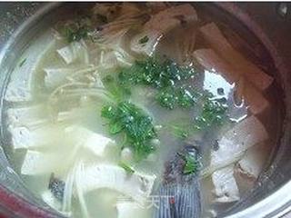 鲫鱼炖豆腐的做法步骤:6