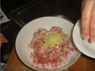 鮮肉汤圆的做法步骤:10