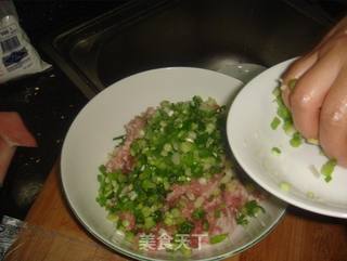鮮肉汤圆的做法步骤:11