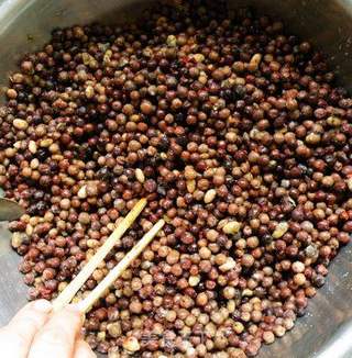 四川豌豆豆豉的做法的做法步骤：8
