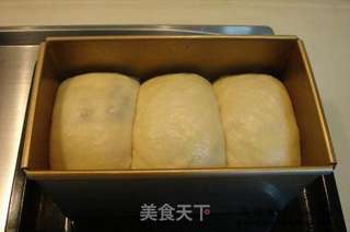 桂圆吐司面包的做法步骤:18
