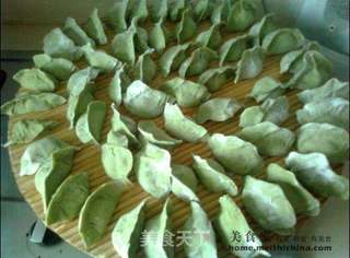 艾叶翡翠饺子的做法步骤:15