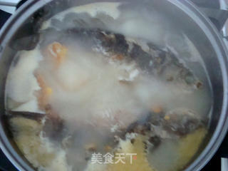 鲫鱼百合汤的做法步骤:4