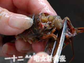 浓香原味小龙虾的做法步骤:6