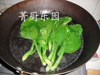 白灼芥兰——素食者的芥兰的做法步骤:5