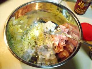 清淡鲜美的 “蒸白玉虾饺”的做法步骤:7