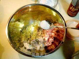 清淡鲜美的 “蒸白玉虾饺”的做法步骤:9