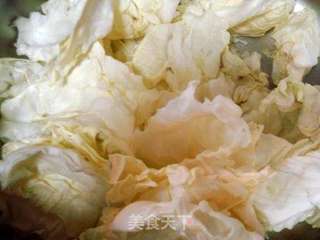 珊瑚白菜的做法步骤:2