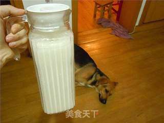 杏仁米浆的做法步骤:18