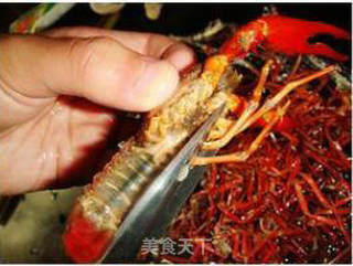 麻辣小龙虾(小龙虾最佳加工方法的详解图)的做法步骤:6
