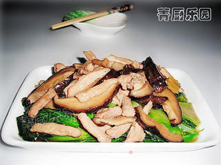 营养价值很高的绿色蔬菜——蚝油花菇芥兰的做法步骤：18