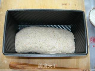 纯手工制作——全麦吐司的做法步骤:15