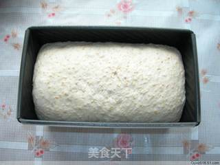 纯手工制作——全麦吐司的做法步骤:16