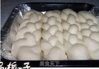 辫子小面包的做法步骤:10