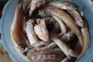 新鲜滋味----面糊炸狗杠鱼的做法步骤:3
