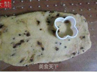 巧克力豆司康的做法步骤：9