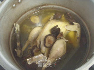 菌菇炖鸡的做法步骤：10