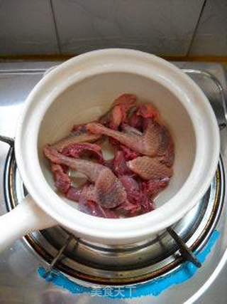 玉竹沙参炖乳鸽的做法步骤:4