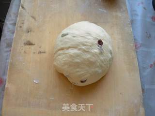 提子辫子面包的做法步骤：6