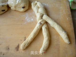 提子辫子面包的做法步骤：10