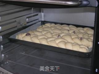 提子辫子面包的做法步骤：13