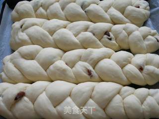 提子辫子面包的做法步骤：14