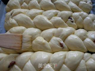 提子辫子面包的做法步骤：15