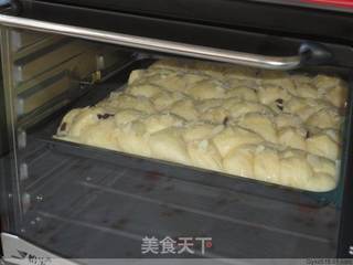 提子辫子面包的做法步骤：17