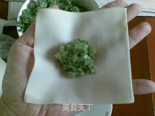 荠菜鲜肉大馄饨的做法步骤：4