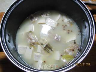 狗鱼炖豆腐的做法步骤:9