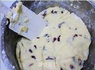 蔓越梅酥条的做法步骤:5
