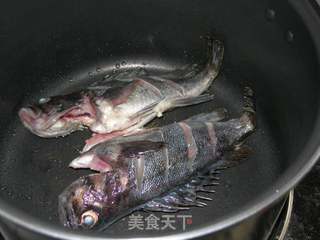 黑鱼豆腐汤的做法步骤：7