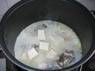 黑鱼豆腐汤的做法步骤：16