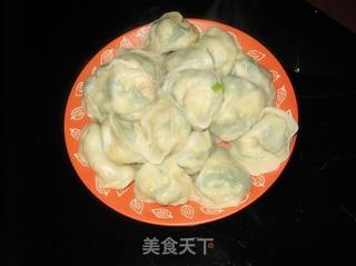 韭菜鸡蛋饺子的做法步骤:9