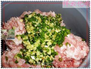 老鲁家的传统菜——鸭蛋黄狮子头的做法步骤：2