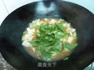 青菜炖豆腐的做法步骤：8