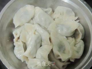 荠菜饺子的做法步骤:8