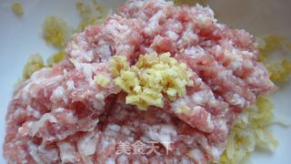 [美食家主题赛---第四季]---绚丽多姿的酸菜饺子的做法步骤：16