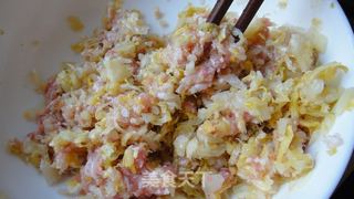 [美食家主题赛---第四季]---绚丽多姿的酸菜饺子的做法步骤：20