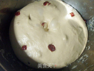 全麦蔓越莓吐司4(夜种法)的做法步骤:6