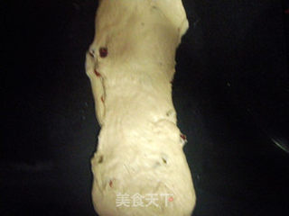 全麦蔓越莓吐司4(夜种法)的做法步骤:10