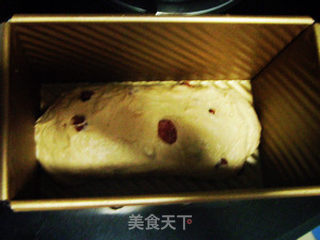 全麦蔓越莓吐司4(夜种法)的做法步骤:12