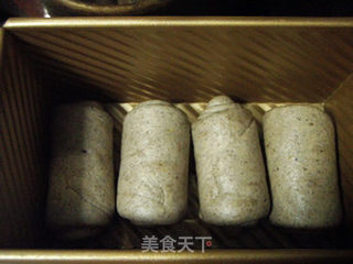 适合秋冬健康养生--黑芝麻核桃吐司（吐司之旅5）的做法步骤：12