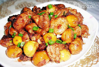 秋冬营养滋补美食——板栗烧鸡的做法步骤:16