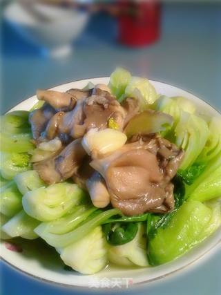 平菇油菜的做法步骤：5