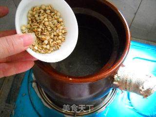 薏米菊花雏鸽汤的做法步骤:6