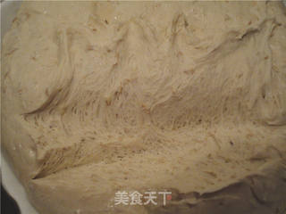 燕麦面包的做法步骤:7