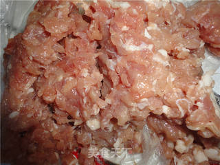 蚝油猪肉白菜饺的做法步骤:4