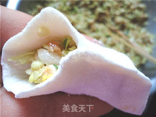 蚝油猪肉白菜饺的做法步骤:13